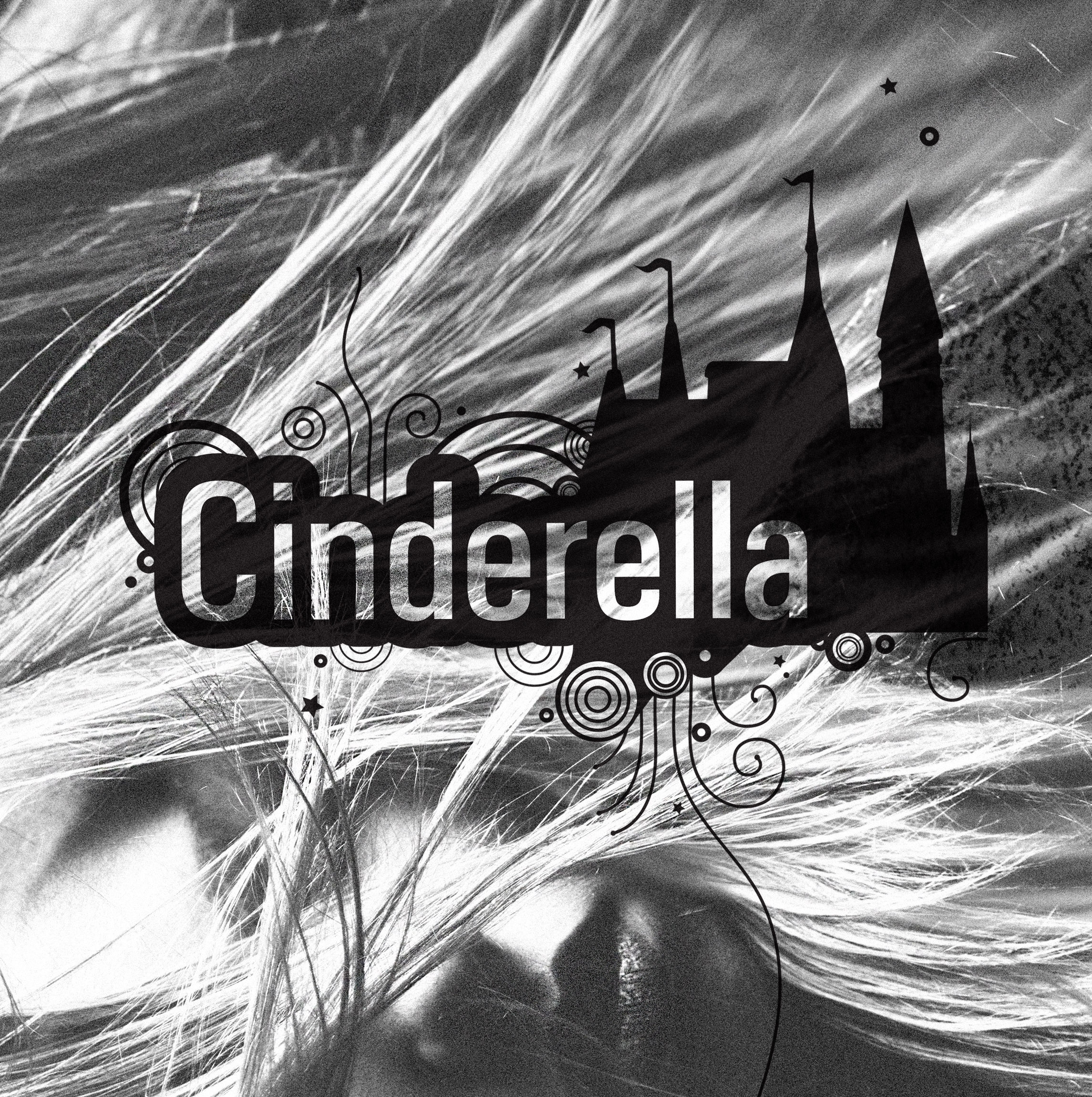 Cinderella - visual identity, graphic system by Color.zone agency for the image! hair salons.
