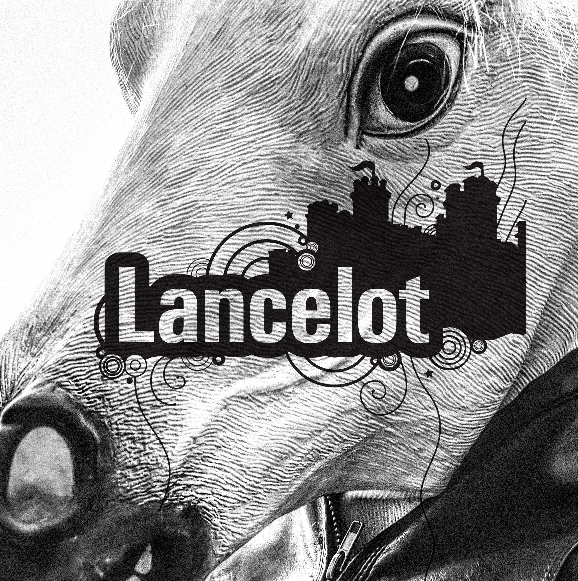 Lancelot - visual identity, graphic system by Color.zone agency for the image! hair salons.