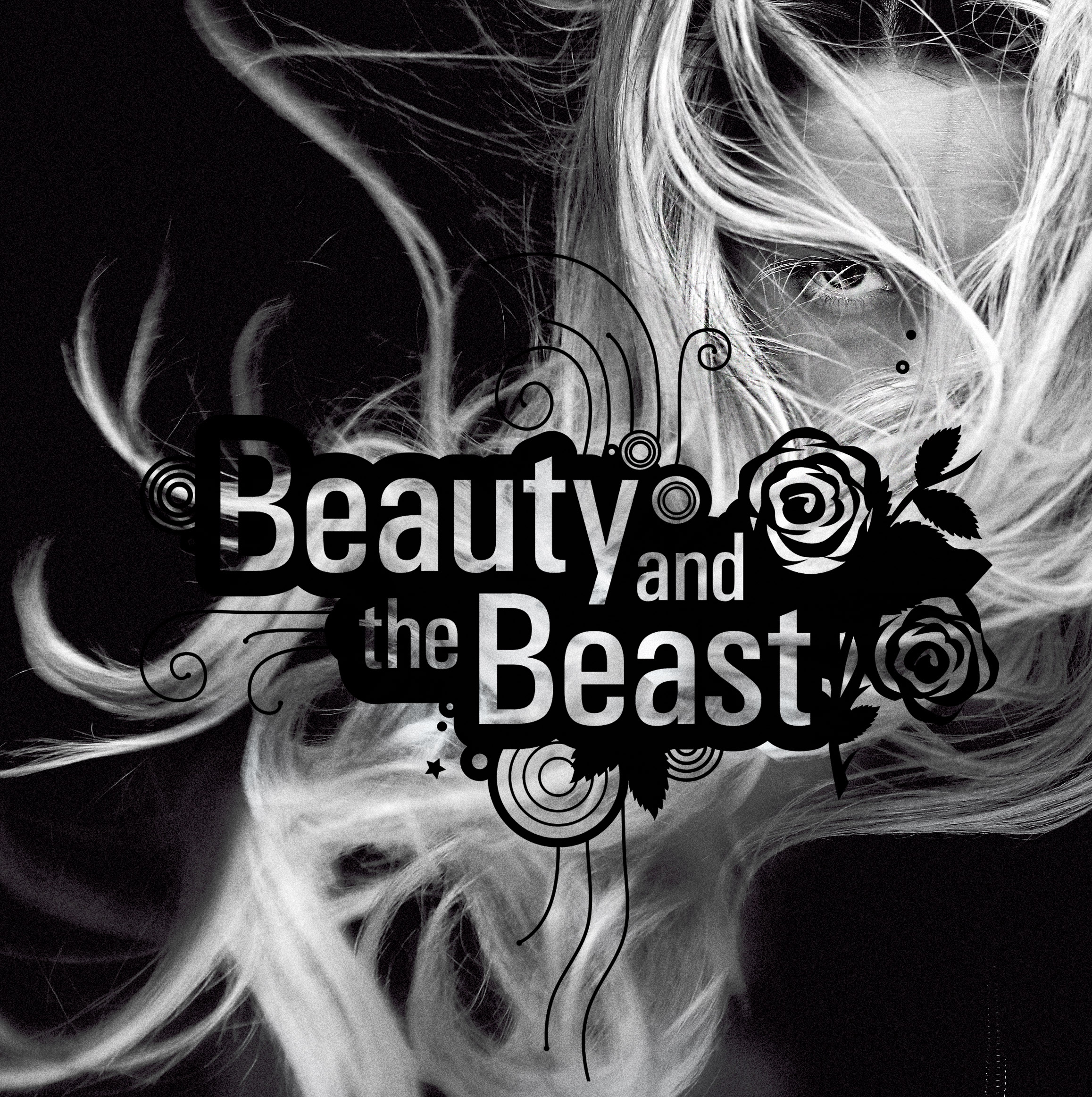 Beauty and the Beast - visual identity, graphic system by Color.zone agency for the image! hair salons.